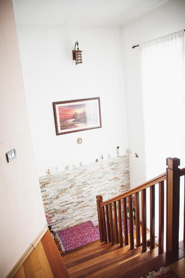 Homestay Traditia Borsanului