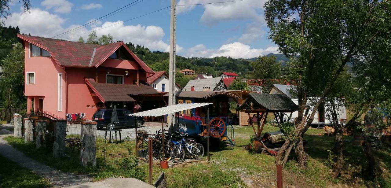 Traditia Borsanului * Borsa (Maramures)