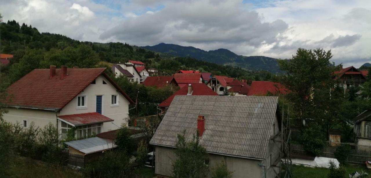 Homestay Traditia Borsanului Borsa (Maramures)