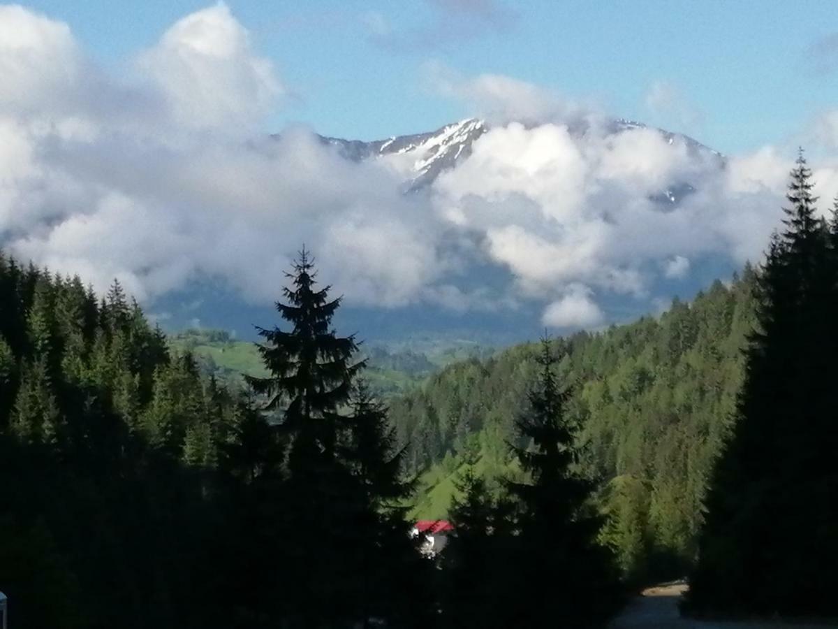Traditia Borsanului